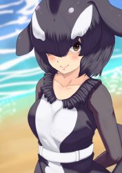Rule 34 | 1girl, arms behind back, beach, belt, black hair, blowhole, blush, brown eyes, cetacean tail, closed mouth, collarbone, day, dorsal fin, dress, fins, fish tail, frills, gakukuru, hair over one eye, head fins, kemono friends, long sleeves, looking at viewer, medium hair, multicolored hair, orca (kemono friends), outdoors, parted bangs, sand, smile, solo, tail, two-tone hair, upper body, water, white hair