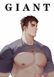 Rule 34 | 1boy, abs, bara, bare pectorals, brown hair, character request, check character, clothes lift, english text, grey shirt, highres, large pectorals, looking at viewer, male focus, mature male, muscular, muscular male, my eight, nipples, original, pectoral focus, pectorals, shirt, shirt lift, short hair, sideburns, solo, upper body