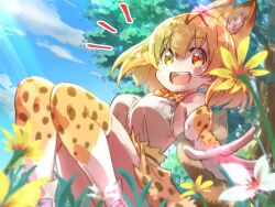 Rule 34 | animal ears, bare shoulders, blonde hair, blush, bow, bowtie, cat ears, cat girl, cat tail, extra ears, flower, gloves, hair between eyes, high-waist skirt, highres, icorasama, kemono friends, looking at viewer, open mouth, print bow, print bowtie, print gloves, print skirt, print thighhighs, serval (kemono friends), serval print, shirt, short hair, sidelocks, sitting, skirt, smile, tail, thighhighs, white shirt, yellow eyes