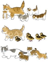 Rule 34 | animal, animal focus, bird, blue eyes, cat, commentary, dog, duck, duckling, juno (mofu sand), kitten, no humans, original, puppy, shiba inu, simple background, tabby cat, tail, walking, white background