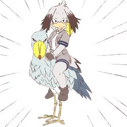 Rule 34 | 10s, 1girl, abu markub, bad id, bad pixiv id, bird, bird tail, commentary request, emphasis lines, fingerless gloves, gloves, grey hair, grey shirt, grey shorts, head wings, kemono friends, looking at viewer, low ponytail, multicolored hair, necktie, pantyhose, riding, shirt, shoebill, shoebill (kemono friends), shorts, side ponytail, simple background, solo, staring, tail, white background, white necktie, wings