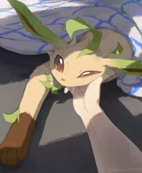 artist_name brown_eyes brown_fur creatures_(company) game_freak gen_4_pokemon leaf leafeon looking_at_viewer nintendo olyester pokemon pokemon_(creature) pov pov_hands two-tone_fur under_covers yellow_fur