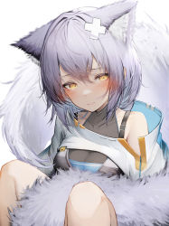 Rule 34 | 1girl, absurdres, animal ears, arknights, between legs, blush, breasts, closed mouth, clothing cutout, collarbone, highres, medium breasts, provence (arknights), purple hair, short hair, simple background, sitting, solo, tab head, tail, tail between legs, white background, yellow eyes