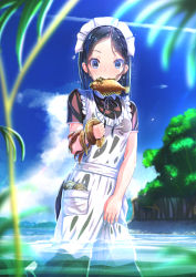 Rule 34 | 1girl, aiuabo, black hair, blue eyes, blurry, blurry foreground, contrail, day, eel, fish, highres, holding, looking at viewer, maid, maid headdress, mouth hold, original, outdoors, seaweed, see-through, sky, wading, water, wet, wet clothes