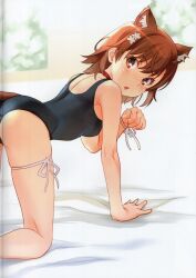 Rule 34 | 1girl, absurdres, all fours, animal ears, ass, bare arms, bare shoulders, bed sheet, black one-piece swimsuit, blush, breasts, brown eyes, brown hair, cat ears, cat tail, collar, crease, extra ears, feet out of frame, flower, hair flower, hair ornament, highres, kemonomimi mode, leg ribbon, looking at viewer, looking back, medium hair, misaka mikoto, non-web source, one-piece swimsuit, open mouth, paw pose, raika9, red collar, ribbon, scan, school swimsuit, short hair, skindentation, small breasts, solo, swimsuit, tail, thigh ribbon, thigh strap, toaru kagaku no railgun, toaru majutsu no index, white flower