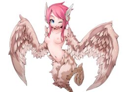 Rule 34 | 1girl, bird legs, blue eyes, blush, breasts, brown feathers, brown wings, earrings, feather hair, feathered wings, feathers, frfr, game cg, harpy, jewelry, looking at viewer, mon-musu quest!, monster girl, multicolored hair, navel, nipples, non-web source, nude, one eye closed, open mouth, pink hair, reina (mon-musu quest!), short hair with long locks, sidelocks, small breasts, solo, talons, teeth, transparent background, upper teeth only, winged arms, wings