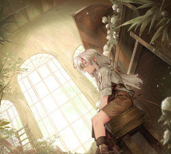 Rule 34 | 1girl, ahoge, ari (shichigatsu), bad id, bad pixiv id, braid, bright pupils, brown shorts, brown socks, flower, from side, highres, indoors, instrument, long hair, looking at viewer, looking to the side, original, parted lips, piano, plant, potted plant, red eyes, shichigatsu, shorts, sitting, socks, solo, stool, white flower, white hair, window