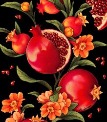 Rule 34 | black background, cropped, flower, food, fruit, no humans, orange flower, original, paid reward available, plant, pomegranate, pomegranate flower, red theme, rii abrego, seed, signature, simple background