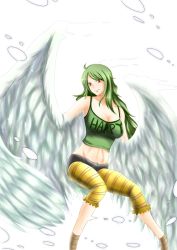 Rule 34 | 1girl, breasts, cleavage, donquixote pirates, feathered wings, feathers, green hair, harpy, long hair, mikadorill, monet (one piece), monster girl, one piece, punk hazard, shirt, smile, snow, solo, striped legwear, t-shirt, wings