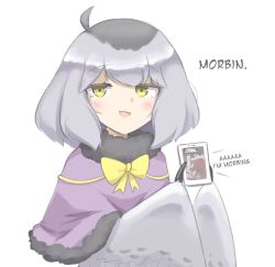 Rule 34 | 1girl, ahoge, blush, capelet, cellphone, claws, commentary, english commentary, english text, feathered wings, grey feathers, grey hair, grey wings, harpy, holding, holding phone, it&#039;s morbin&#039; time (meme), looking at viewer, medium hair, meme, mono (sifserf), monster girl, open mouth, original, owl girl, phone, purple capelet, sifserf, smartphone, white background, winged arms, wings, yellow eyes