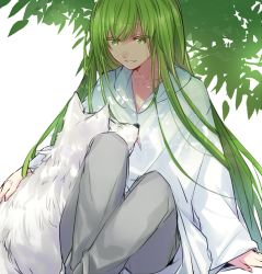 Rule 34 | 1other, androgynous, animal, collarbone, commentary request, dappled sunlight, enkidu (fate), fate/strange fake, fate (series), green eyes, green hair, grey pants, grin, half-closed eyes, kan&#039;yu (citron 82), knees up, long hair, long sleeves, looking at animal, pants, petting, raised eyebrows, robe, simple background, sitting, smile, sunlight, tree, tree shade, under tree, very long hair, white background, white robe, white wolf, wolf