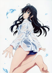 Rule 34 | 1girl, absurdres, ahoge, arms at sides, ass, bare legs, barefoot, black hair, blue eyes, blue one-piece swimsuit, breasts, collared shirt, dress shirt, feet, gimp (medium), highres, long hair, looking at viewer, looking to the side, official art, one-piece swimsuit, parted lips, scan, school swimsuit, see-through, shirt, simple background, small breasts, soles, solo, standing, standing on one leg, swimsuit, thighs, toes, water drop, wet, wet clothes, white background, white shirt, yahari ore no seishun lovecome wa machigatteiru., yukinoshita yukino