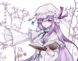 Rule 34 | 1girl, banned artist, blue bow, blue ribbon, book, bow, capelet, crescent, dress, gin fragrans, hair over eyes, hat, highres, holding, holding book, light blush, long hair, long sleeves, looking at viewer, mob cap, outstretched arm, parted lips, patchouli knowledge, purple eyes, purple hair, ribbon, solo, striped, touhou, very long hair