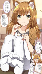 Rule 34 | 1girl, absurdres, animal ears, blush, bow, brown eyes, brown hair, cat ears, clenched hand, collarbone, commentary request, feet, highres, long hair, looking at viewer, masa masa, open mouth, original, pantyhose, polka dot, polka dot bow, shouji, sitting, sliding doors, solo, speech bubble, translation request, white pantyhose