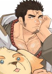 Rule 34 | 1boy, bara, bead necklace, beads, blush, character doll, character request, chest hair, collarbone, cross scar, cu sith (housamo), elbow rest, facial hair, goatee, harada (basashi), hood, hooded jacket, houzouin oniwaka, jacket, jewelry, large pectorals, long sideburns, looking at viewer, male focus, mature male, muscular, muscular male, necklace, open clothes, open jacket, pectoral cleavage, pectorals, scar, scar on face, scar on forehead, short hair, sideburns, solo, stubble, stuffed animal, stuffed toy, tokyo houkago summoners, upper body, white jacket