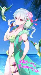 Rule 34 | 1girl, absurdres, bikini, bird, braid, braided ponytail, cowboy shot, fate/grand order, fate (series), flower, forked eyebrows, green bikini, green vest, grey hair, hair flower, hair ornament, highres, hood, hooded vest, hoodie, jewelry, kama (fate), kama (swimsuit avenger) (fate), kama (swimsuit avenger) (second ascension) (fate), looking at viewer, lotus, necklace, open clothes, open vest, parakeet, parrot, pendant, red eyes, solo, swimsuit, thighs, vest, yuniyuni