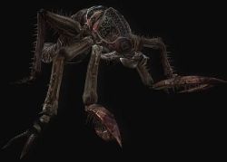 Rule 34 | bug, capcom, claws, lowres, pincers, plague crawler, resident evil, resident evil: the darkside chronicles, resident evil 0, tagme
