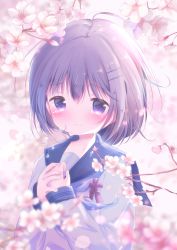Rule 34 | 1girl, ahoge, black sailor collar, blurry, blurry background, blurry foreground, blush, branch, brown hair, cherry blossoms, closed mouth, commentary request, crying, crying with eyes open, depth of field, hair between eyes, hair ornament, hairclip, hands up, highres, long sleeves, looking at viewer, moe2019, original, own hands together, purple eyes, rin (fuwarin), sailor collar, school uniform, serafuku, shirt, sleeves past wrists, solo, tears, upper body, white shirt