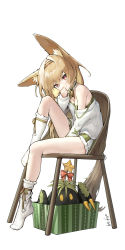Rule 34 | 1girl, absurdres, akelp, animal ear fluff, animal ears, arknights, beanstalk (arknights), beanstalk (gift uncompleted) (arknights), bell, blush, bow, box, brown hair, closed mouth, dress, from side, full body, green dress, green hairband, hair bow, hairband, highres, in box, in container, knee up, kneehighs, long hair, looking at viewer, looking to the side, metal crab (arknights), neck bell, no shoes, off-shoulder sweater, off shoulder, official alternate costume, on chair, red eyes, red ribbon, ribbon, signature, simple background, sitting, smile, socks, solo focus, star (symbol), strap slip, sweater, tail, very long hair, white background, white socks, white sweater