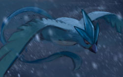 Rule 34 | af (afloatisland), articuno, beak, bird, closed mouth, commentary request, creatures (company), flying, game freak, gen 1 pokemon, legendary pokemon, nintendo, no humans, pokemon, pokemon (creature), snow, snowing, solo