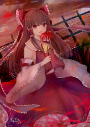 Rule 34 | 1girl, :d, bad id, bad pixiv id, bai qi-qsr, bow, brown hair, detached sleeves, flower, hair bow, hakurei reimu, holding, holding flower, long hair, long skirt, looking at viewer, night, open mouth, outdoors, red bow, red eyes, red flower, red shirt, red skirt, ribbon-trimmed sleeves, ribbon trim, shirt, signature, skirt, sleeveless, sleeveless shirt, smile, solo, touhou, very long hair
