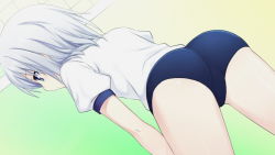 Rule 34 | 10s, 1girl, ass, blue eyes, buruma, date a live, from behind, gym uniform, legs, looking down, net, serious, short hair, solo, standing, thighs, tobiichi origami, underwear, white hair