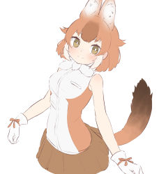 Rule 34 | 1girl, absurdres, animal ear fluff, animal ears, bad id, bad pixiv id, bare arms, bare shoulders, blush, brown hair, brown skirt, dhole (kemono friends), dog ears, dog tail, extra ears, gloves, green eyes, highres, kemono friends, kona ming, light smile, looking at viewer, multicolored hair, orange hair, ribbon, shirt, short hair, simple background, skirt, sleeveless, sleeveless shirt, solo, tail, upper body, white background, white gloves, white hair, wrist ribbon