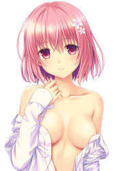 Rule 34 | 1girl, areola slip, breasts, collarbone, flower, hair flower, hair ornament, highres, long sleeves, looking at viewer, medium breasts, momo velia deviluke, n.g., naked shirt, no bra, off shoulder, open clothes, open shirt, pink eyes, pink hair, shirt, simple background, smile, solo, to love-ru, upper body, white background