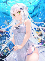 Rule 34 | 1girl, absurdres, ahoge, aquarium, bare shoulders, blush, bow, braid, breasts, cleavage, closed mouth, clothing cutout, collarbone, commentary, coral, cowboy shot, dolphin, dolphin hair ornament, dress, english commentary, english text, fingernails, fish, floral dress, green eyes, hair ornament, hair over shoulder, hairclip, half updo, highres, holding, holding paper, light, long hair, looking at viewer, manta ray, medium breasts, messy hair, na kyo, original, pamphlet, paper, see-through, sleeveless, sleeveless dress, smile, solo, sundress, sunlight, thigh cutout, thighs, tropical fish, underwater, very long hair, water, white dress, white hair