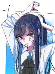 1girl @_@ ado_(utaite) ascot black_ascot blue_eyes blue_flower blue_hair blue_rose border chando_(ado) collared_shirt colored_inner_hair commentary_request dress_shirt flower flower_brooch hair_tie_in_mouth holding_hair_tie long_hair mole mole_under_eye mouth_hold multicolored_hair outside_border ponytail rose shirt sidelocks sleeves_past_elbows solo streaked_hair sweat tanake_(tanakei_ado) tying_hair upper_body utaite variant_set white_border white_shirt