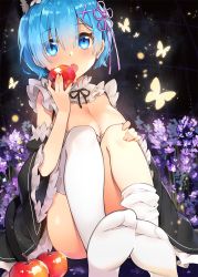 Rule 34 | 10s, 1girl, animal ears, apple, ayami (annahibi), blue eyes, blue hair, blush, breasts, bug, butterfly, cat ears, cleavage, commentary request, detached sleeves, eyes visible through hair, fang, feet, flower, food, frilled sleeves, frills, fruit, hair ornament, hair over one eye, hand on own knee, holding, holding food, holding fruit, insect, large breasts, legs together, looking at viewer, maid, matching hair/eyes, no shoes, open mouth, purple flower, re:zero kara hajimeru isekai seikatsu, rem (re:zero), revision, short hair, sitting, soles, solo, thighhighs, white thighhighs, wide sleeves, x hair ornament