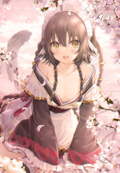 Rule 34 | 1girl, 6u (eternal land), absurdly long hair, ahoge, ainu clothes, all fours, animal ears, anju (utawarerumono), apron, aquaplus, bare legs, bare shoulders, blush, braid, branch, breasts, brown eyes, cherry blossoms, cleavage, collarbone, dress, fang, fingernails, flower, frilled dress, frilled sleeves, frills, hair between eyes, hair ornament, hands on ground, long hair, long sleeves, looking at viewer, maid, maid apron, maid headdress, off shoulder, official art, open clothes, open dress, open mouth, petals, raised eyebrows, shiny skin, sidelocks, sitting, small breasts, solo, sweat, sweatdrop, tail, thighs, utawarerumono, utawarerumono: itsuwari no kamen, utawarerumono: lost flag, utawarerumono: lost flag support illustration relay, very long hair, wet, wide sleeves