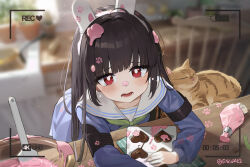 Rule 34 | 1girl, animal ears, battery indicator, black hair, blue archive, blue serafuku, blush, bright pupils, candy, chocolate, chocolate heart, commentary, english commentary, fake animal ears, food, green neckerchief, grey halo, halo, heart, long hair, long sleeves, looking at viewer, miyu (blue archive), neckerchief, ongdal2, open mouth, rabbit ears, recording, red eyes, sailor collar, school uniform, serafuku, solo, twitter username, valentine, white pupils, white sailor collar