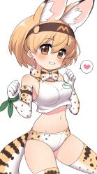 Rule 34 | 1girl, animal ear fluff, animal ears, bare shoulders, blonde hair, blush, bow, bowtie, breasts, brown eyes, buruma, crop top, elbow gloves, extra ears, gloves, grin, hair between eyes, hairband, heart, highres, japan racing association, kemono friends, large breasts, looking at viewer, midriff, navel, o-ring, print bow, print bowtie, print buruma, print gloves, print thighhighs, ransusan, serval (kemono friends), serval print, shirt, short hair, simple background, sleeveless, sleeveless shirt, smile, solo, spoken heart, thighhighs, traditional bowtie, white background, wristband