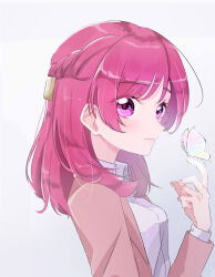 Rule 34 | 1girl, braid, bug, butterfly, emi537469, french braid, from side, hair ornament, highres, insect, jacket, kibou no chikara ~otona precure &#039;23~, looking at viewer, medium hair, pink eyes, pink hair, pink jacket, suit jacket, upper body, yumehara nozomi