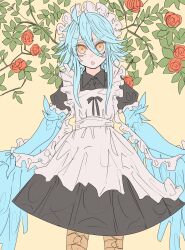 Rule 34 | 1girl, absurdres, ahoge, alternate costume, bird legs, blue hair, blue wings, commentary request, enmaided, feathered wings, feathers, flower, hair between eyes, harpy, highres, long hair, looking at viewer, maid, maid headdress, messy hair, monster girl, monster musume no iru nichijou, nebula flabby, open mouth, papi (monster musume), red flower, red rose, rose, sidelocks, solo, winged arms, wings, yellow background, yellow eyes