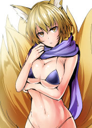 Rule 34 | 1girl, alternate costume, animal ears, bikini, blonde hair, blue bikini, blue scarf, blush, breast hold, breasts, cleavage, commentary request, fox ears, fox tail, highres, kitsune, kyuubi, large breasts, looking at viewer, multiple tails, navel, no headwear, parted lips, scarf, short hair, slit pupils, solo, stomach, swimsuit, tail, touhou, upper body, y2, yakumo ran, yellow eyes
