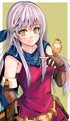 Rule 34 | 1girl, arm behind back, bird, bird on hand, blue scarf, border, breasts, brown gloves, closed mouth, elbow gloves, fingerless gloves, fire emblem, fire emblem: radiant dawn, floating hair, fuussu (21-kazin), gloves, jacket, long hair, micaiah (fire emblem), nintendo, outside border, red jacket, scarf, silver hair, simple background, sleeveless, sleeveless jacket, small breasts, smile, solo, standing, very long hair, white border, yellow eyes