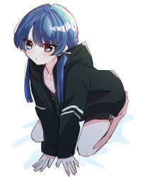 Rule 34 | 1girl, :/, black jacket, black shorts, blue eyes, blue hair, collarbone, commentary request, dark blue hair, flat chest, hair ribbon, hickey, highres, hood, hooded jacket, jacket, kanduki kamibukuro, light blush, link! like! love live!, long hair, long sleeves, looking at viewer, love live!, low twintails, mole, mole on neck, murano sayaka, partially unzipped, raised eyebrows, ribbon, seiza, shorts, sitting, solo, twintails, v arms
