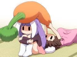 Rule 34 | 2girls, animal ears, brown hair, brown jacket, collared shirt, commentary request, dress, holding, holding stuffed toy, hugging own legs, inaba tewi, jacket, knees up, long hair, lying, multiple girls, no shoes, on back, on floor, pink dress, pink skirt, purple hair, rabbit ears, reisen udongein inaba, shirosato, shirt, short sleeves, sitting, skirt, socks, stuffed carrot, stuffed toy, tatami, touhou, very long hair, white legwear, white shirt, | |, || ||