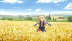 Rule 34 | 00s, 1girl, animal ears, brown hair, cloud, day, field, holo, long hair, red eyes, scenery, sky, solo, spice and wolf, teke (pixiv296120), wheat, wolf ears