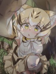 Rule 34 | 1girl, animal ears, armpits, bare shoulders, black hair, blonde hair, blush, bow, bowtie, cat ears, cat tail, commentary request, elbow gloves, feet out of frame, gloves, grass, highres, kemono friends, kneeling, looking at viewer, medium hair, multicolored hair, open mouth, sand cat (kemono friends), shirt, skirt, sleeveless, sleeveless shirt, solo, streaked hair, striped bow, striped bowtie, striped clothes, tail, tree, triangle mouth, white shirt, yayuyoyayuyo, yellow bow, yellow bowtie, yellow eyes, yellow skirt