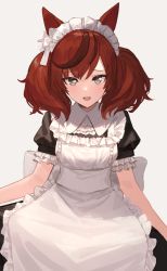 Rule 34 | 1girl, :d, alternate costume, animal ears, apron, bad link, blush, brown hair, chorefuji, collared dress, dress, enmaided, frills, grey eyes, highres, horse ears, looking at viewer, maid, maid headdress, multicolored hair, nice nature (umamusume), open mouth, raised eyebrows, short sleeves, simple background, smile, solo, streaked hair, tongue, umamusume, white apron, white background