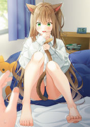 Rule 34 | 1girl, animal ears, barefoot, bed sheet, blouse, blurry, book, brown hair, cat ears, cat girl, cat tail, clock, commentary request, curtains, depth of field, digital clock, feet, hand up, highres, knees up, long hair, long sleeves, on bed, original, panties, pantyshot, revision, school uniform, shirt, solo focus, stuffed animal, stuffed toy, tail, toes, trembling, underwear, unjem, very long hair, white shirt, window