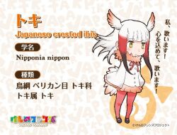 Rule 34 | 1girl, animal ears, extra ears, japanese crested ibis (kemono friends), kemono friends, looking at viewer, official art, simple background, solo, tail, yoshizaki mine