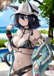 Rule 34 | 2girls, absurdres, amiya (arknights), animal ear fluff, arknights, bare shoulders, baseball cap, bikini, black bikini, black hair, blaze (arknights), blue eyes, blue jacket, braid, breasts, cleavage, closed mouth, collarbone, cowboy shot, cup, day, drinking glass, ears through headwear, extra ears, hat, highres, jacket, large breasts, lifting own clothes, long hair, long sleeves, looking at viewer, multiple girls, navel, off shoulder, open clothes, open jacket, outdoors, side braid, smile, solo focus, strap lift, swimsuit, tree, white headwear, wordsworth owo