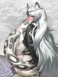 Rule 34 | 1girl, ^^^, animal ears, arknights, belt, biting, biting own tail, blush, bracelet, braid, cape, forest, from behind, full-face blush, gravel, grey eyes, grey hair, hair ornament, head chain, highres, jewelry, leopard ears, leopard girl, leopard tail, long hair, looking back, nature, pramanix (arknights), sitting, solo, tail, tail biting, tail grab, teira, thighhighs, tree, very long hair
