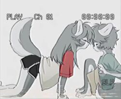 Rule 34 | 1boy, 1girl, all fours, animal ears, animated, black shorts, blurry, body fur, cat boy, cat ears, cat girl, cat tail, dolphin shorts, face-to-face, from side, furry, furry female, furry male, grey hair, long hair, looking at another, mayumochini, original, profile, shirt, short hair, shorts, simple background, sitting, surprised, t-shirt, tail, timestamp, vhs artifacts, video, white background