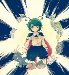 Rule 34 | 1girl, acorn, antennae, black cape, black flower, black shorts, buttons, cape, closed mouth, collared shirt, feet out of frame, flower, green eyes, green hair, highres, itomugi-kun, leaf, long sleeves, pinecone, red cape, shirt, short hair, shorts, solo, touhou, white shirt, wriggle nightbug