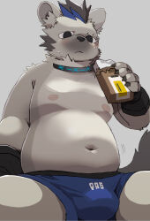 Rule 34 | 1boy, arknights, belly, blue male underwear, blush, bulge, chinese commentary, claws, commentary request, eating, eyebrow piercing, fat, fat man, fingerless gloves, food, furry, furry male, gloves, grey background, highres, holding, holding food, hyena boy, hyena ears, hyena tail, infection monitor (arknights), male focus, male underwear, multicolored hair, piercing, siratama (si-ra-ta-ma3), spot (arknights), streaked hair, sweat, topless male, underwear